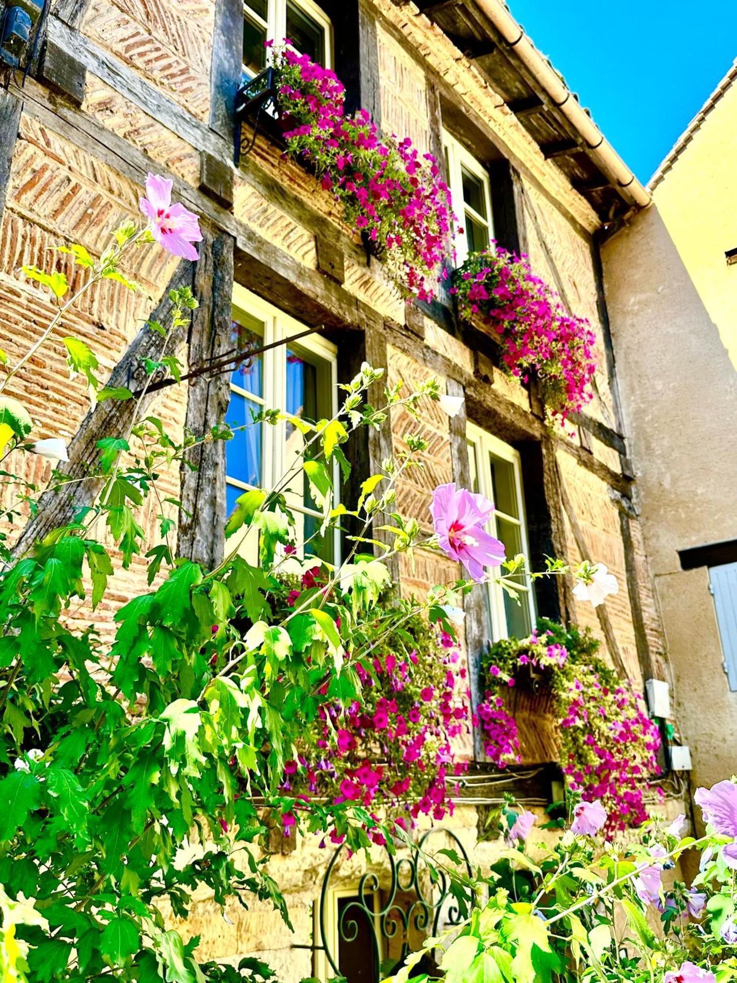 Bed and Breakfast Le Logis Plantagenet Bergerac Zewnętrze zdjęcie