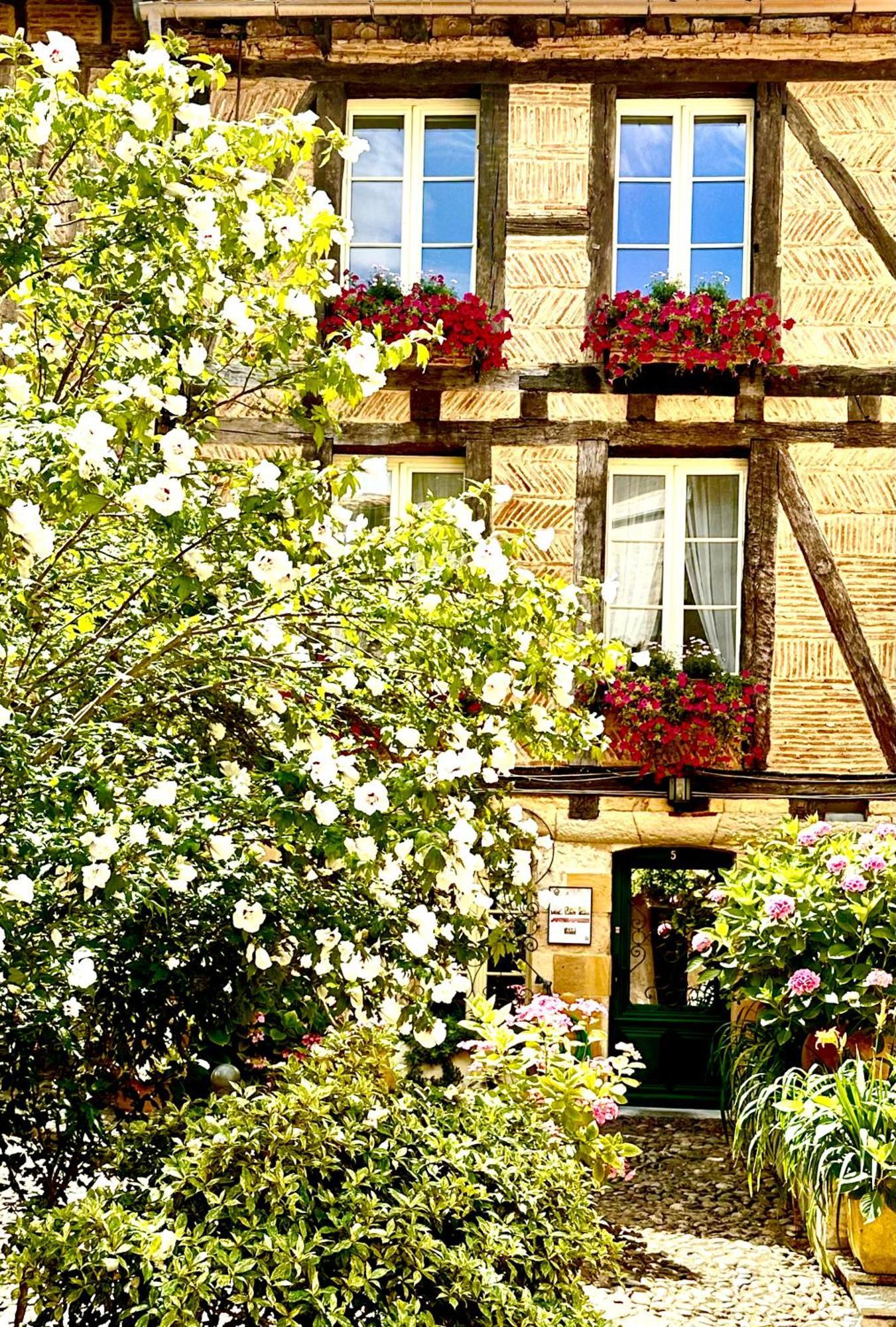 Bed and Breakfast Le Logis Plantagenet Bergerac Zewnętrze zdjęcie
